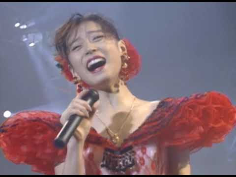 ⑦【公式】中森明菜／北ウイング (～夢～&#039;91 Akina Nakamori Special Live at幕張メッセ, 1991.7.28 &amp; 29) Kita Wing