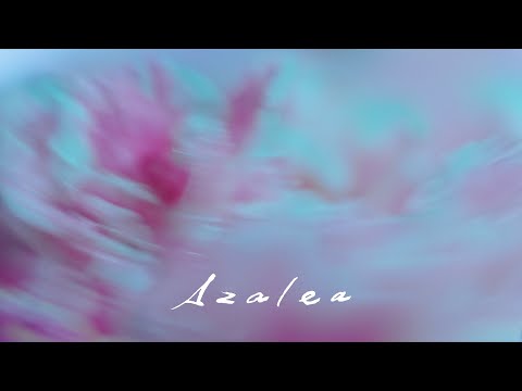 米津玄師 Kenshi Yonezu - Azalea