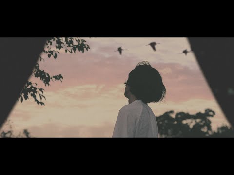 君島大空「16:28」-Official Music Video-